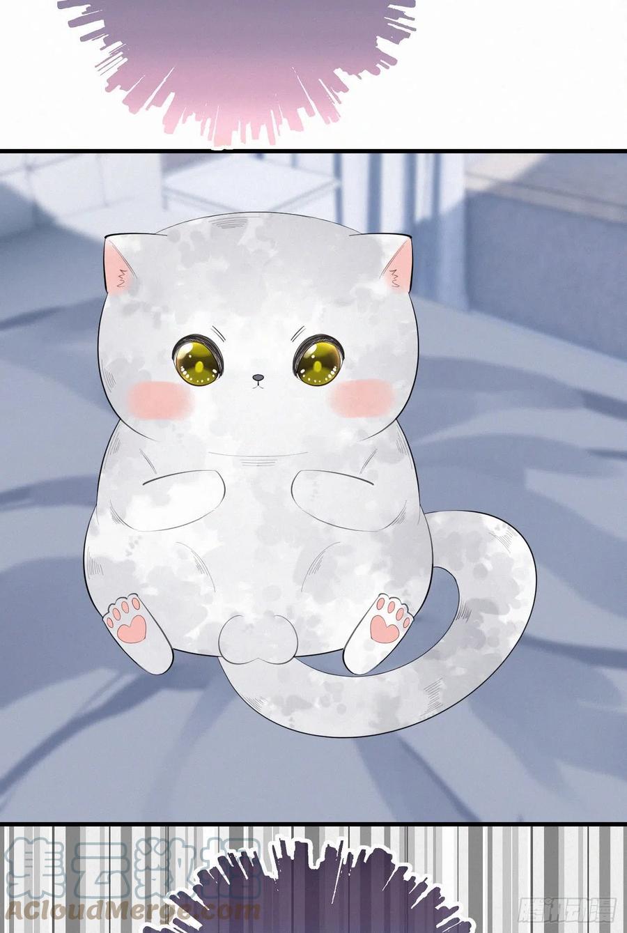 我捡的流浪猫变成人了？ - 62.暴风雨前的宁静 - 3