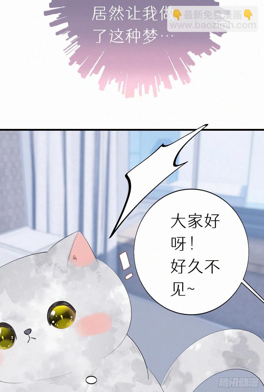 我捡的流浪猫变成人了？ - 62.暴风雨前的宁静 - 1