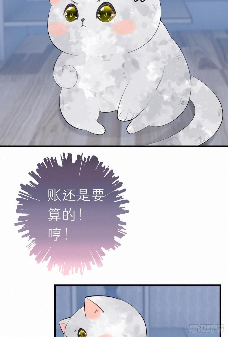 我捡的流浪猫变成人了？ - 62.暴风雨前的宁静 - 5