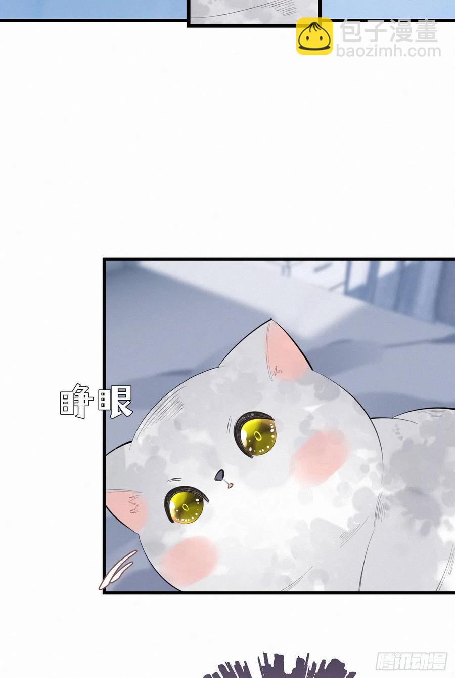 我捡的流浪猫变成人了？ - 62.暴风雨前的宁静 - 1