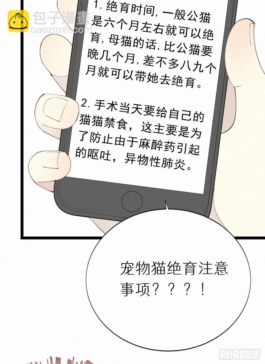 我捡的流浪猫变成人了？ - 77.你怎么能这么狠心？ - 1