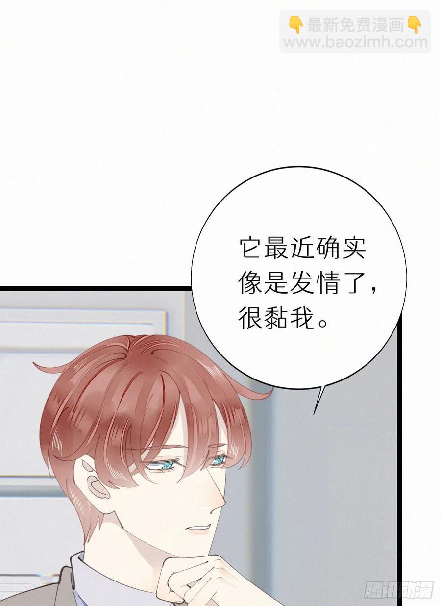 我捡的流浪猫变成人了？ - 77.你怎么能这么狠心？ - 6