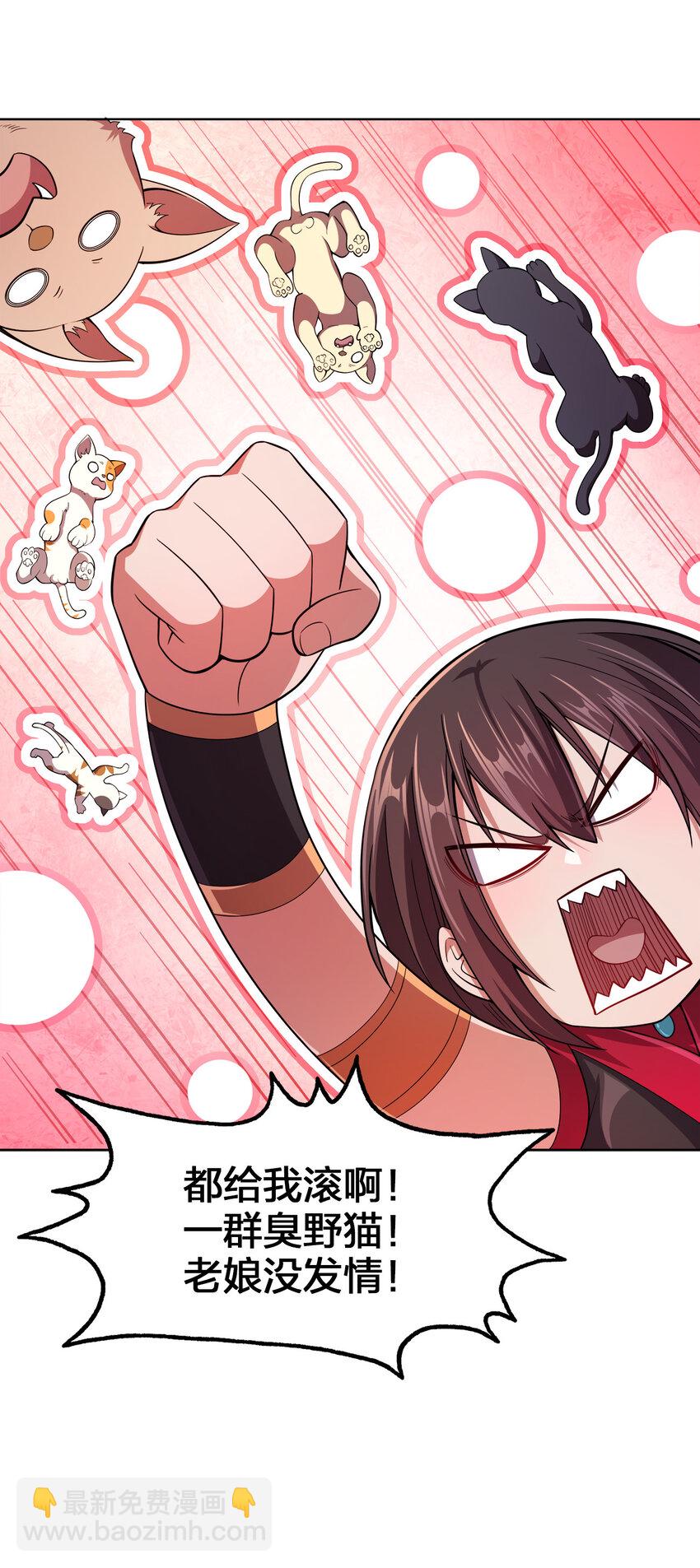 013 屋顶有猫在叫(1/2)-第13话