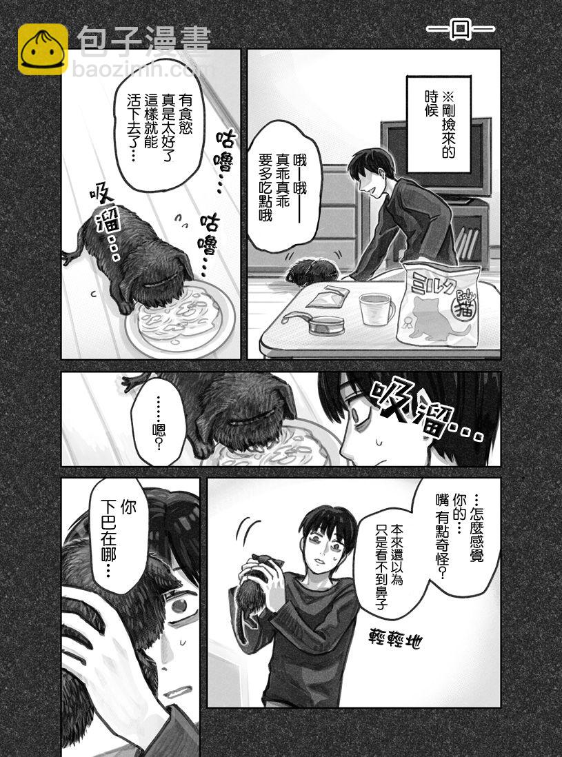 我撿了一隻貓 - 第01話 - 4