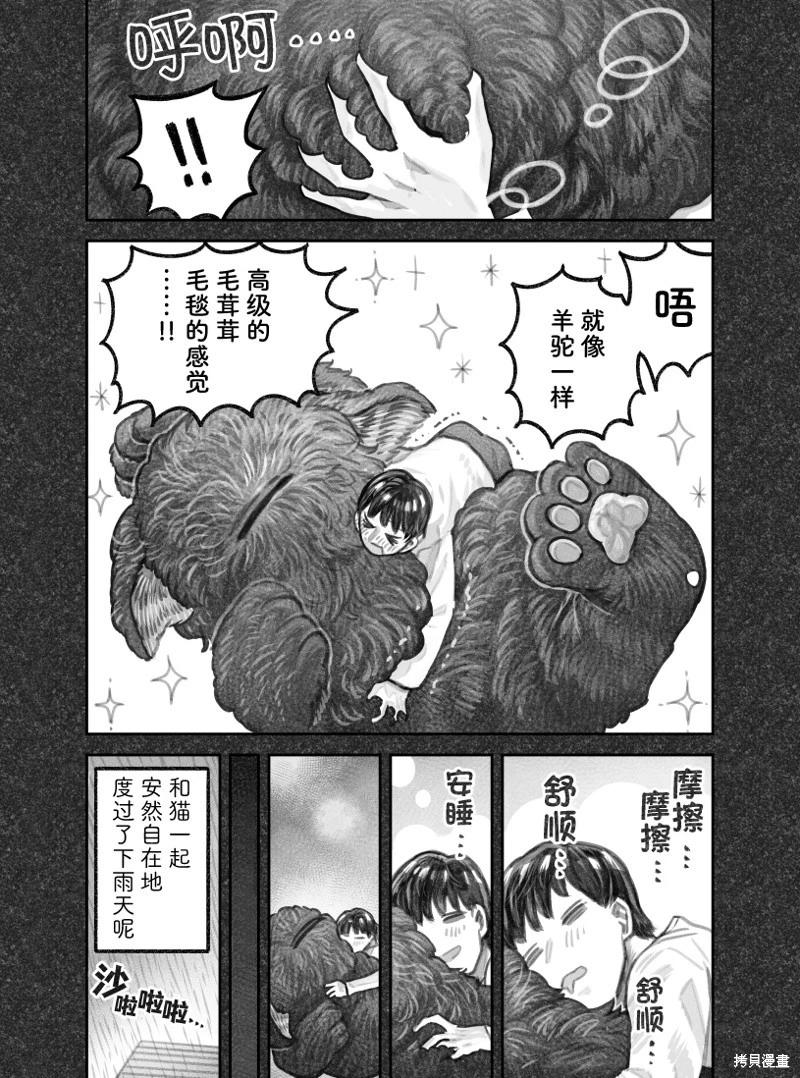 我撿了一隻貓 - 02部68話 - 1