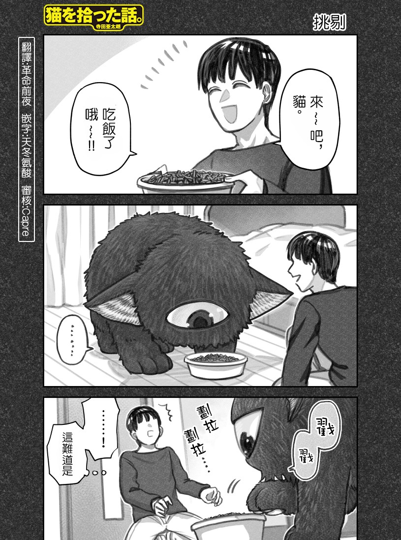 我撿了一隻貓 - 第33話 - 1