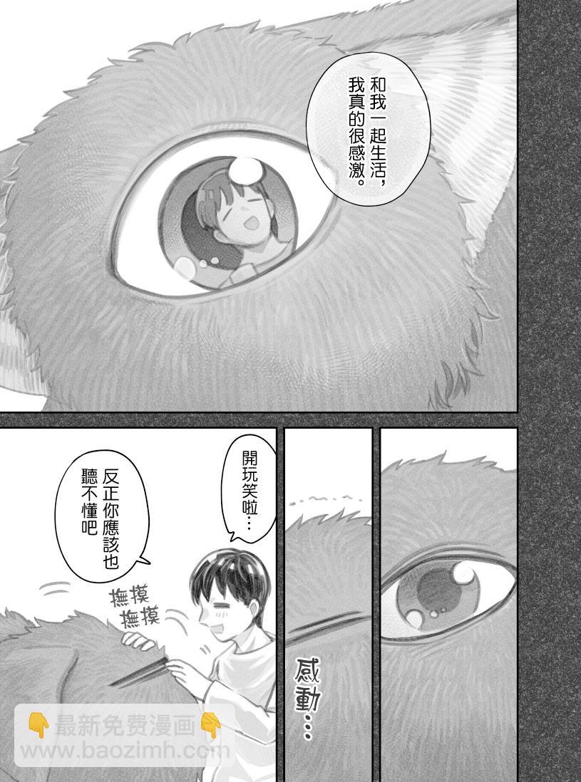 我撿了一隻貓 - 第43話 - 1