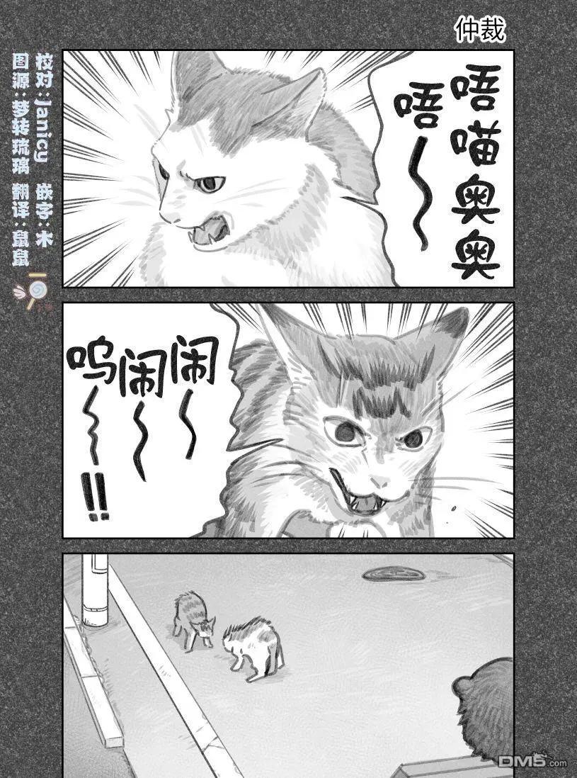 我撿了一隻貓 - 02部48話 - 1