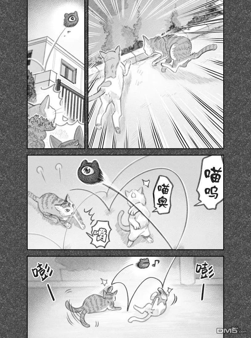 我撿了一隻貓 - 02部48話 - 2