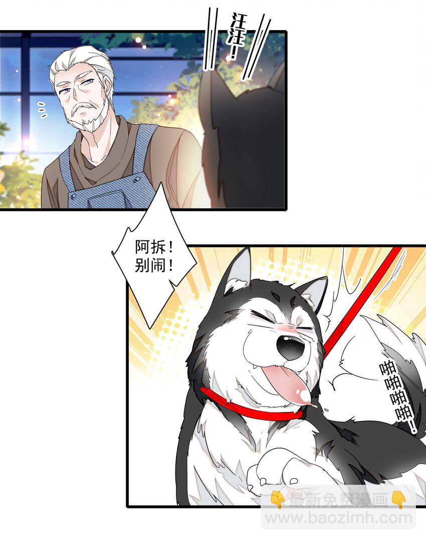 129 螳螂捕蝉黄雀在后-第141话