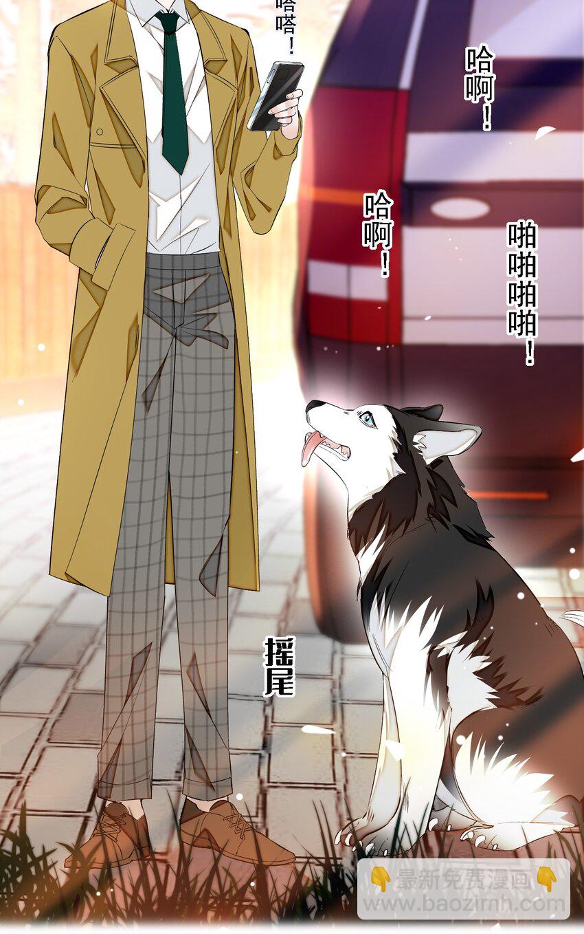 062 我不是人，你是真的狗！(1/2)-第71话