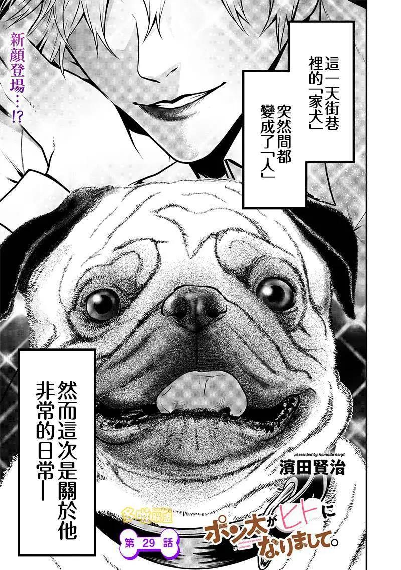 巴哥犬篇0