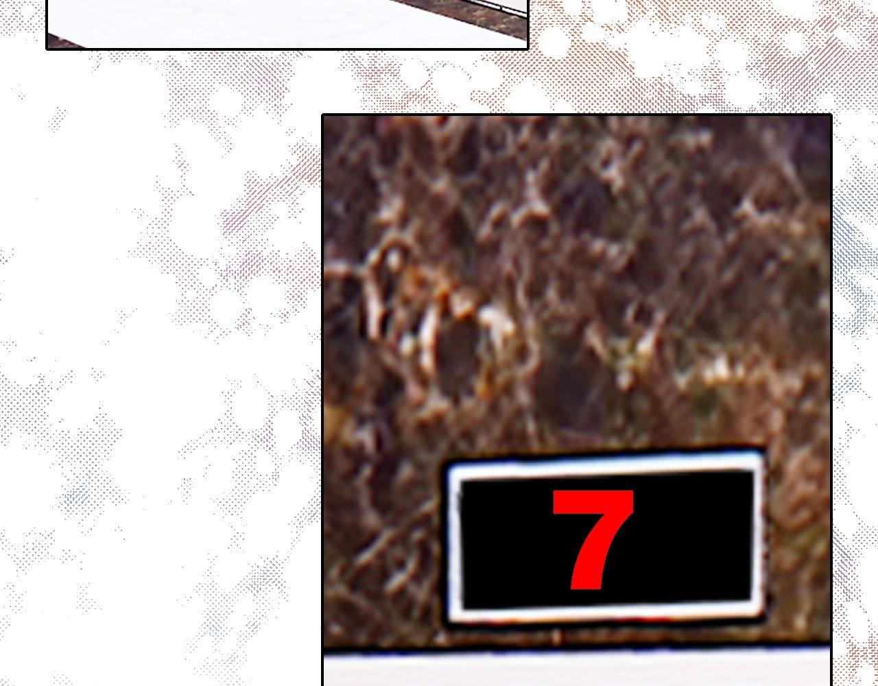 第41话 叶贝晴(1/2)-第43话