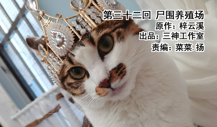 第三十二回 尸围养殖场(1/2)-第35话