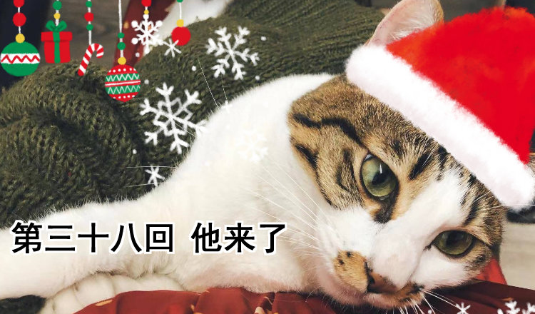 第三十八回 他来了(1/2)-第41话