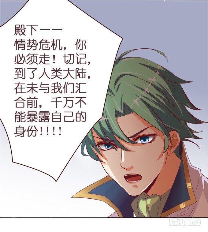 骑士的荣耀(1/3)-第1话