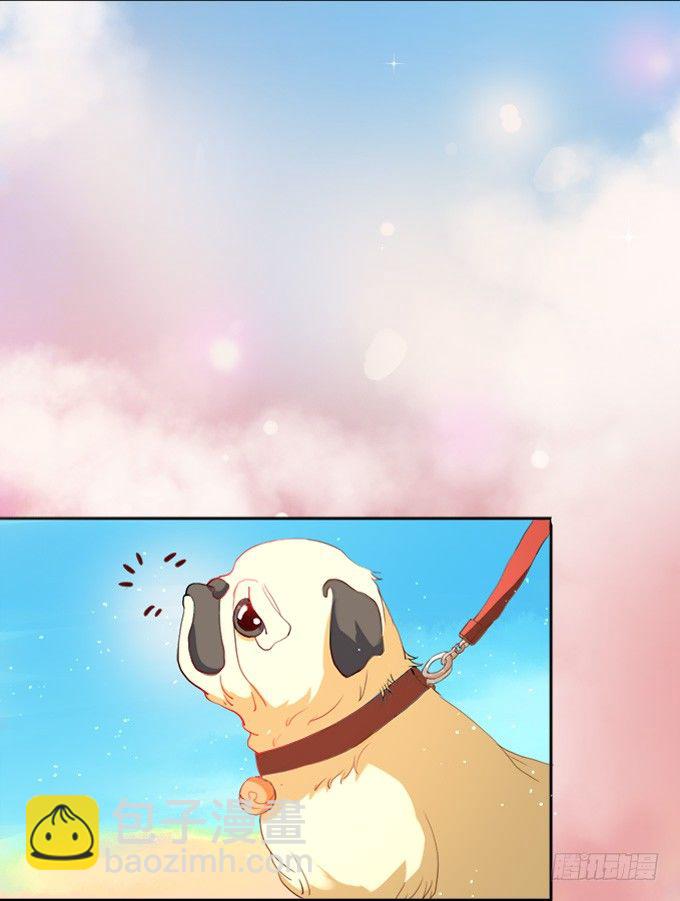 骑士的荣耀(1/3)-第1话