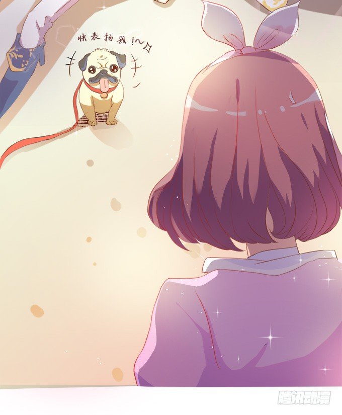 骑士的荣耀(1/3)-第1话