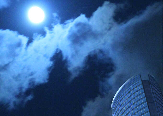 王子的隐侍(1/2)-第113话