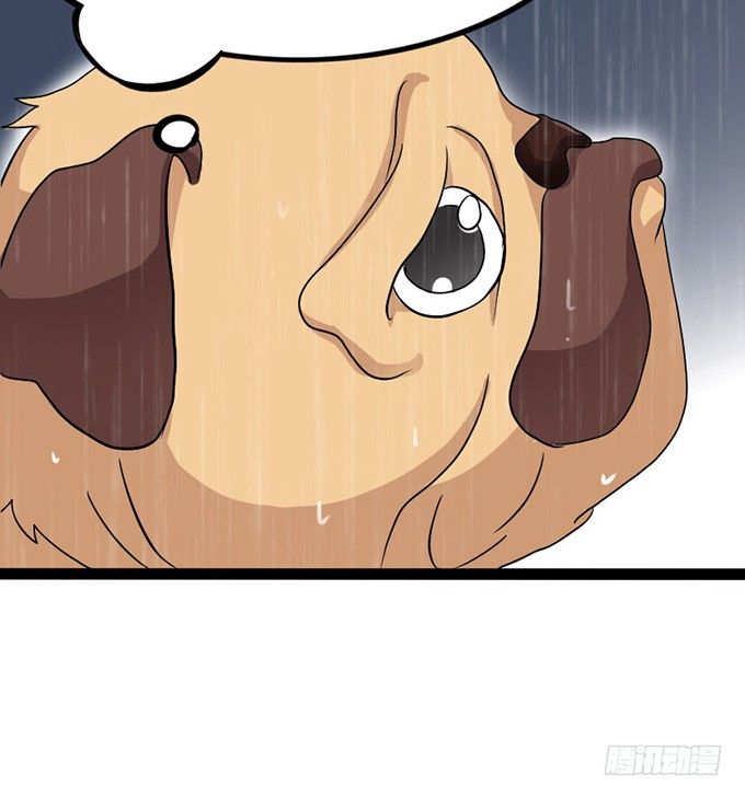 全新的形象(1/2)-第13话