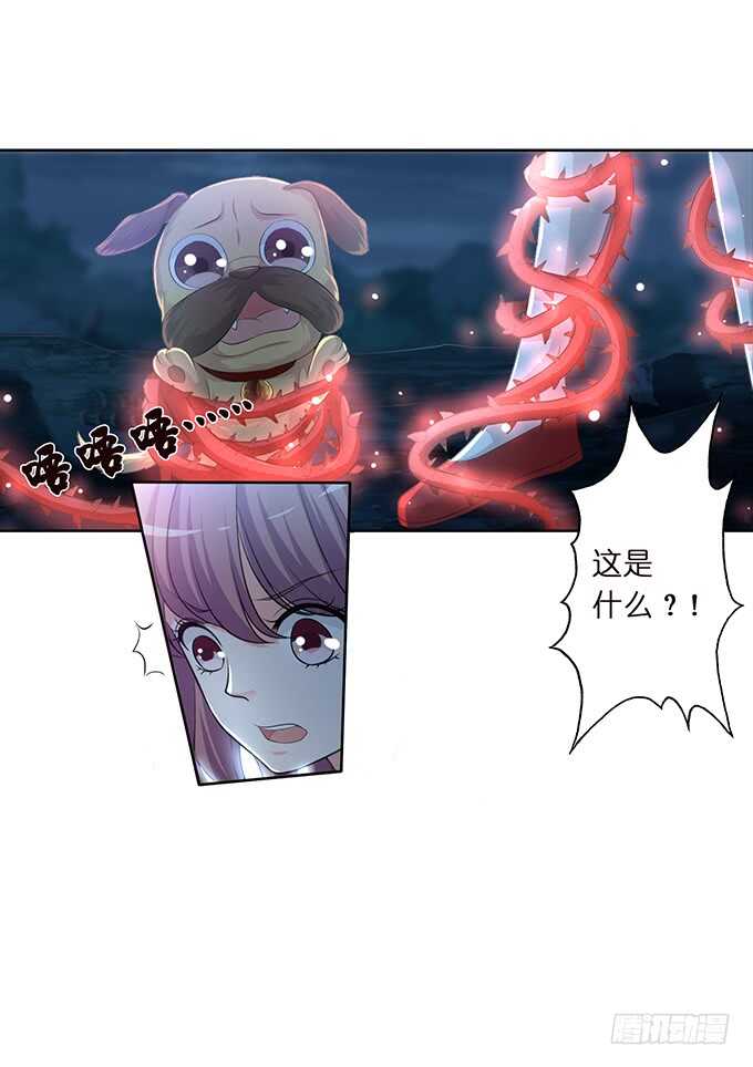 王子与骑士的游戏(1/2)-第161话