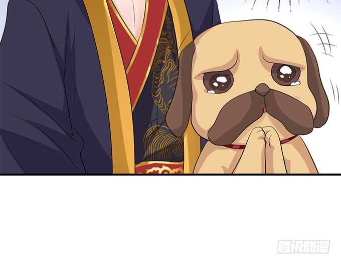 喜当爹！(1/2)-第179话