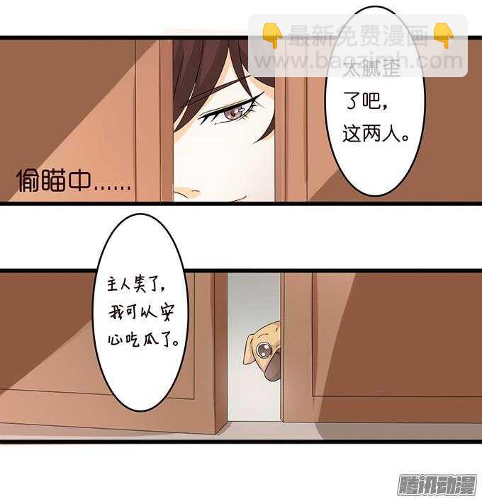 神秘的身影(1/2)-第31话