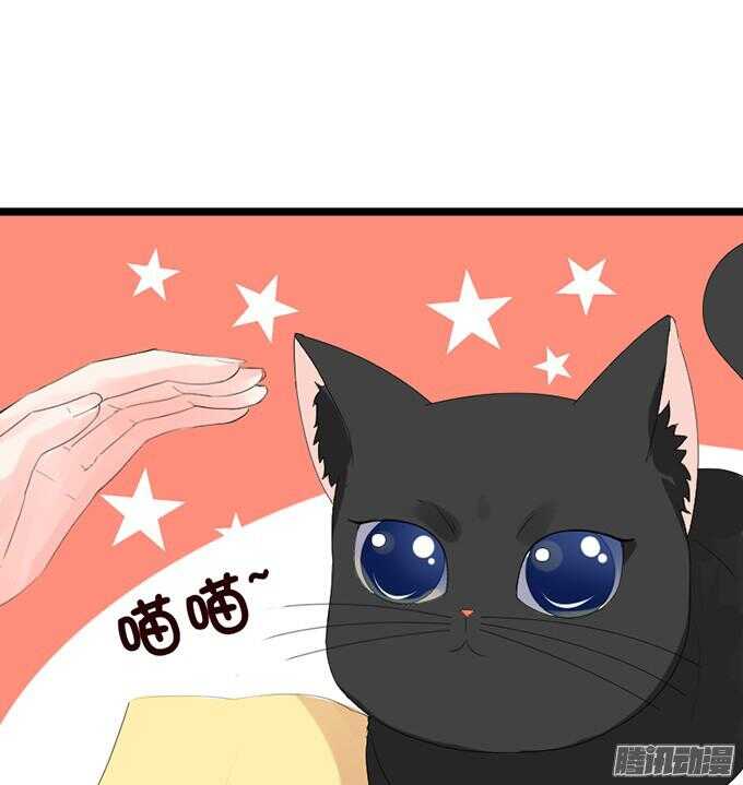 奇怪的老爷子(1/3)-第37话