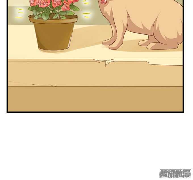 撒娇的方式(1/3)-第47话