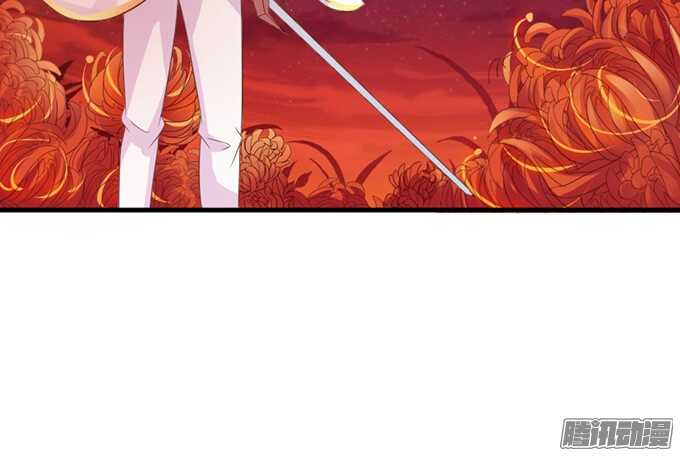 苏柯的秘密(1/2)-第71话