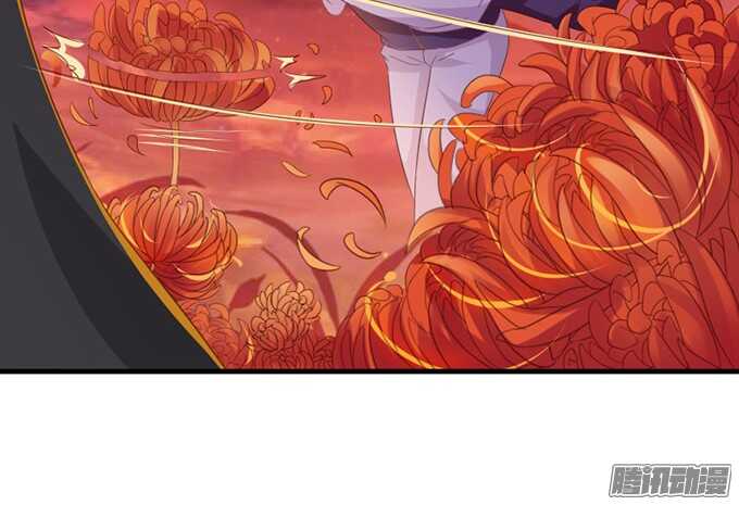 苏柯的秘密(1/2)-第71话