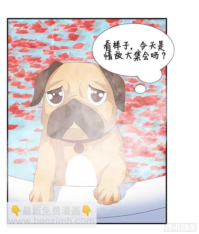 情敌大集会(1/2)-第91话