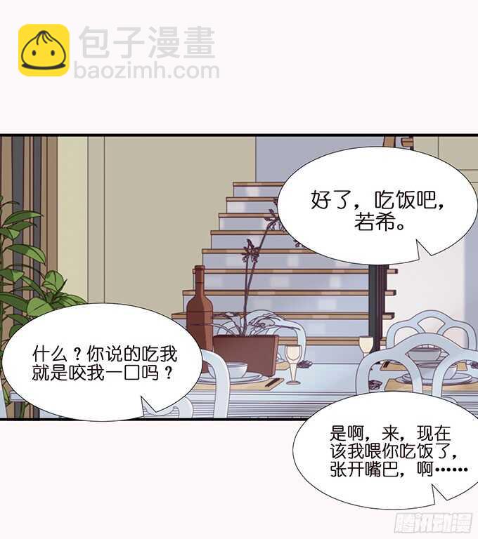 神秘的客人(1/2)-第95话