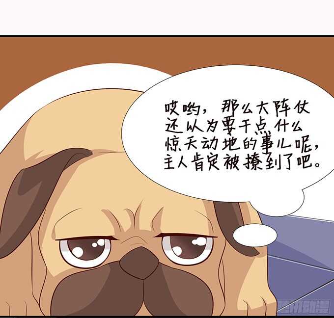 神秘的客人(1/2)-第95话