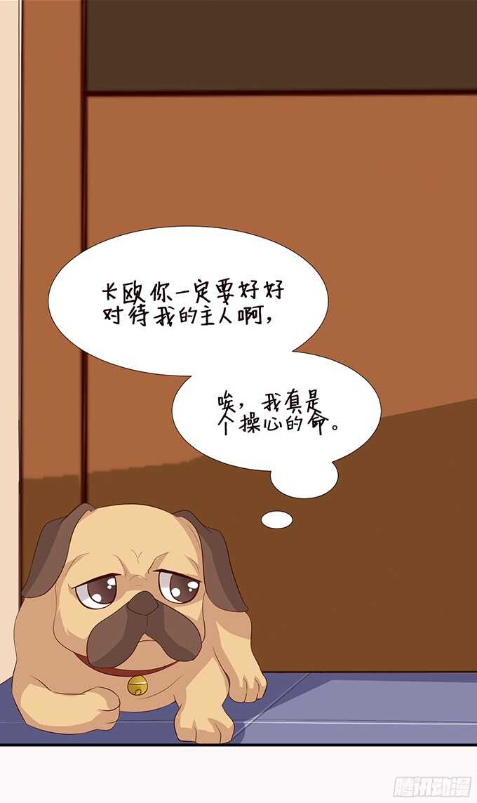 神秘的客人(1/2)-第95话