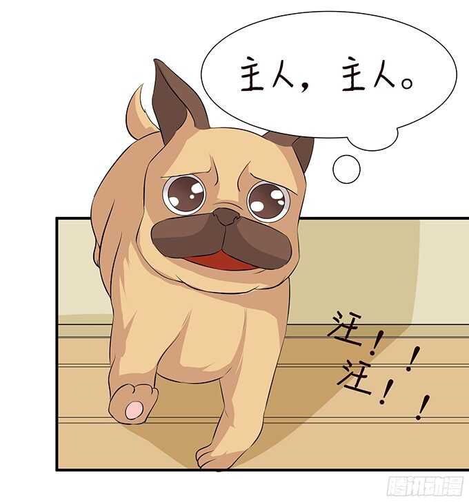 神秘的客人(1/2)-第95话