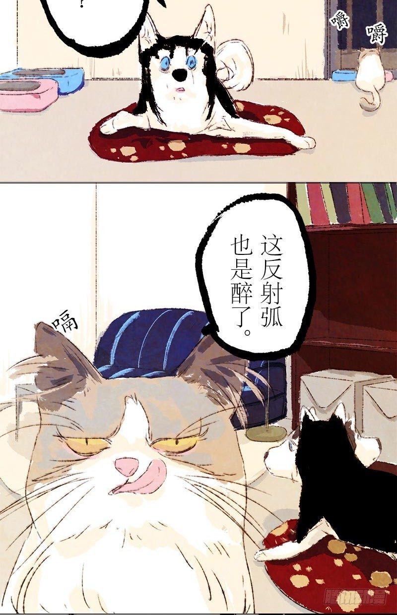 神级反射弧-第11话