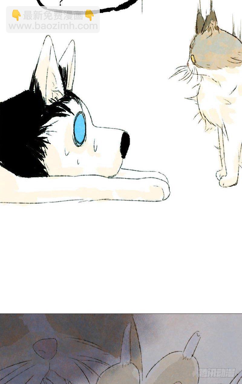 神级反射弧-第11话