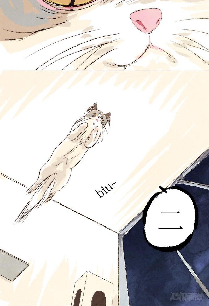 神级反射弧-第11话