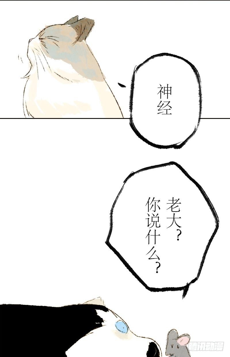 鼠胆包天-第13话