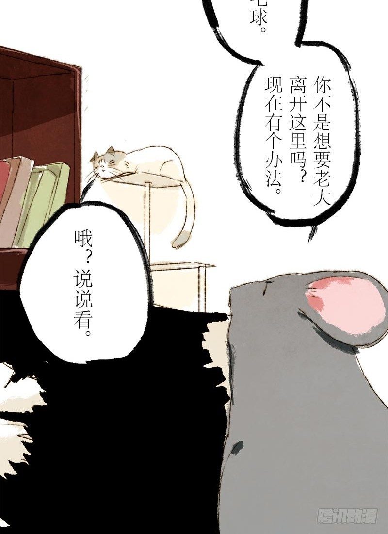 鼠胆包天-第13话