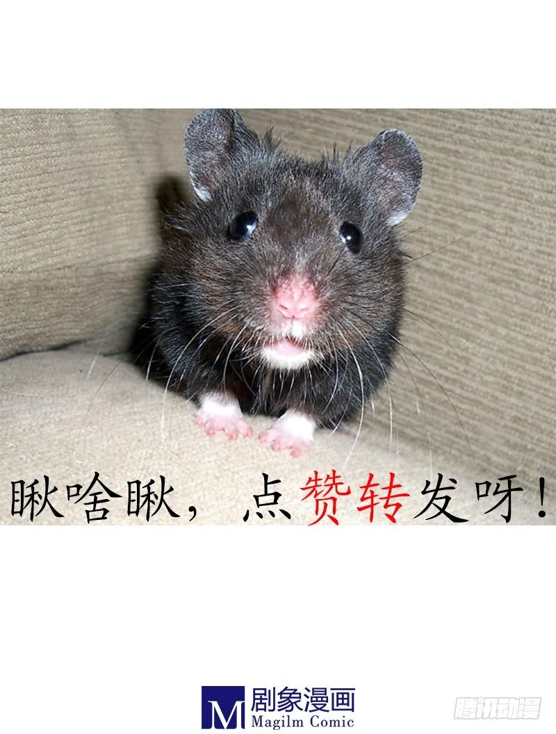 鼠胆包天-第13话