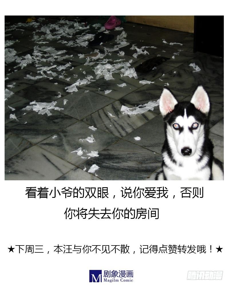 都是骑乘惹的祸-第15话