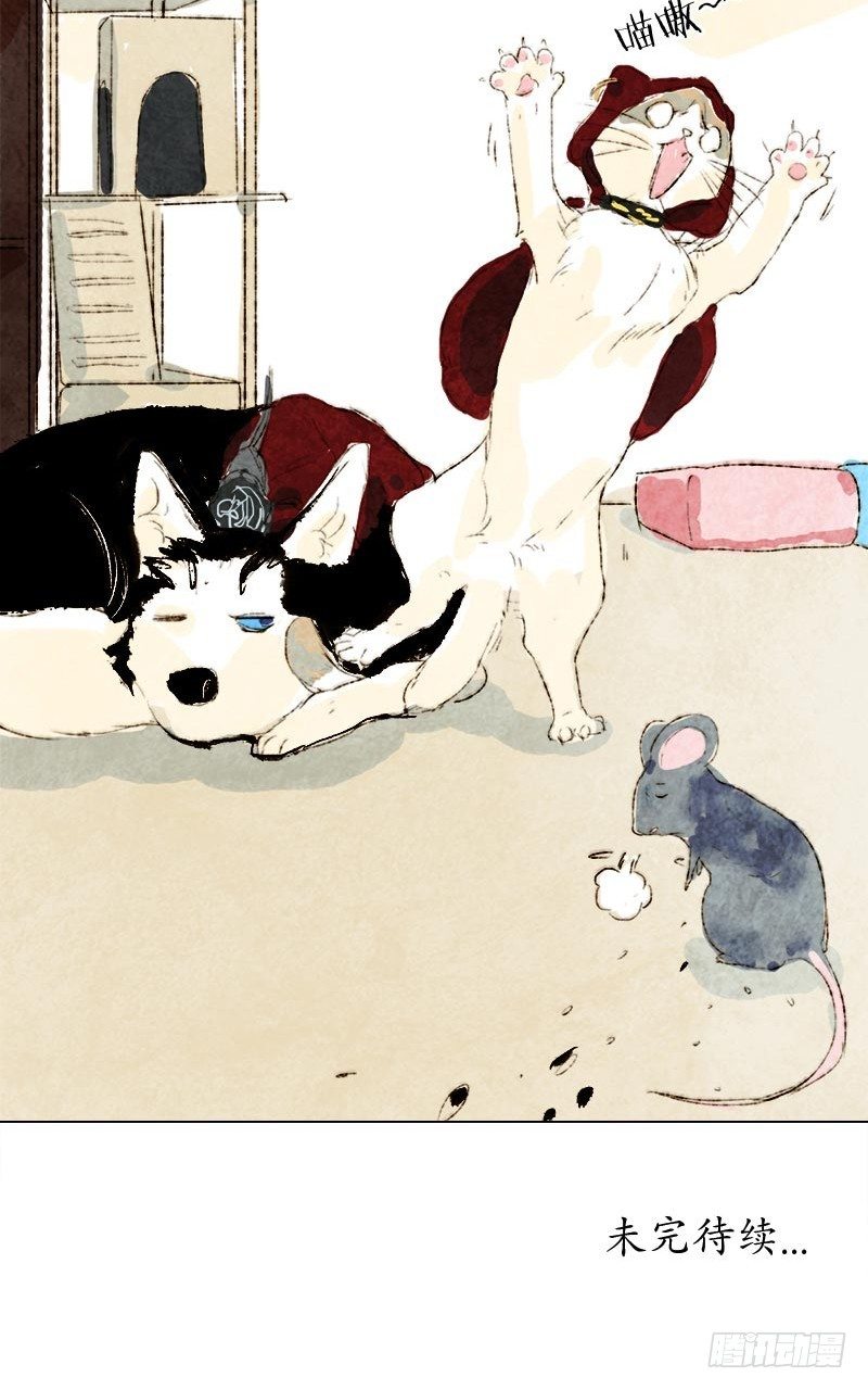 铲屎官的怪癖-第17话