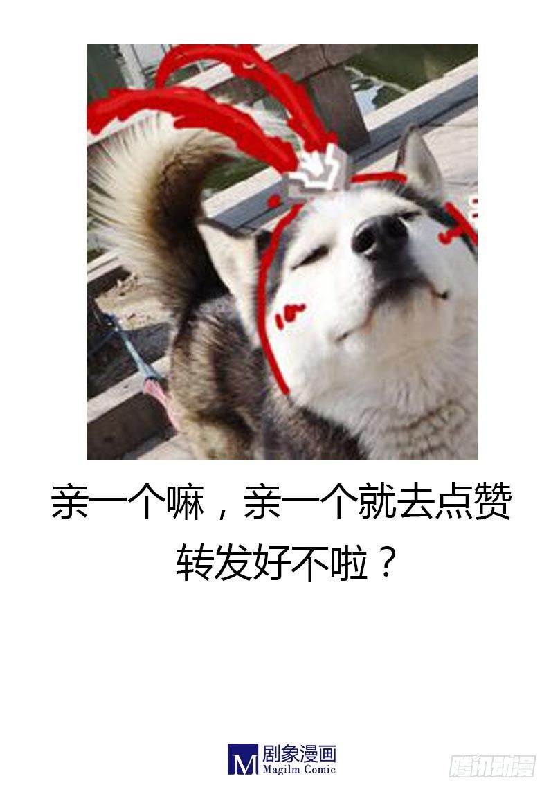 铲屎官的怪癖-第17话