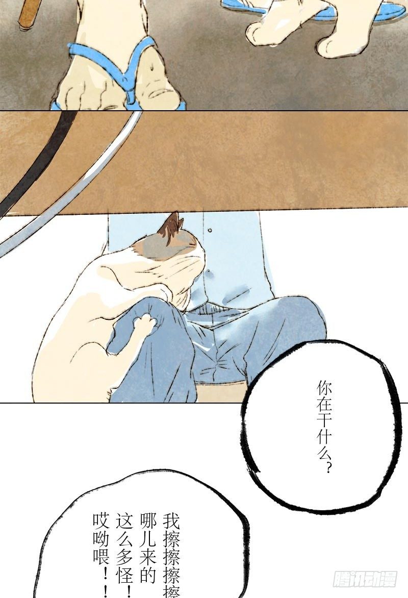 铲屎官的怪癖-第17话