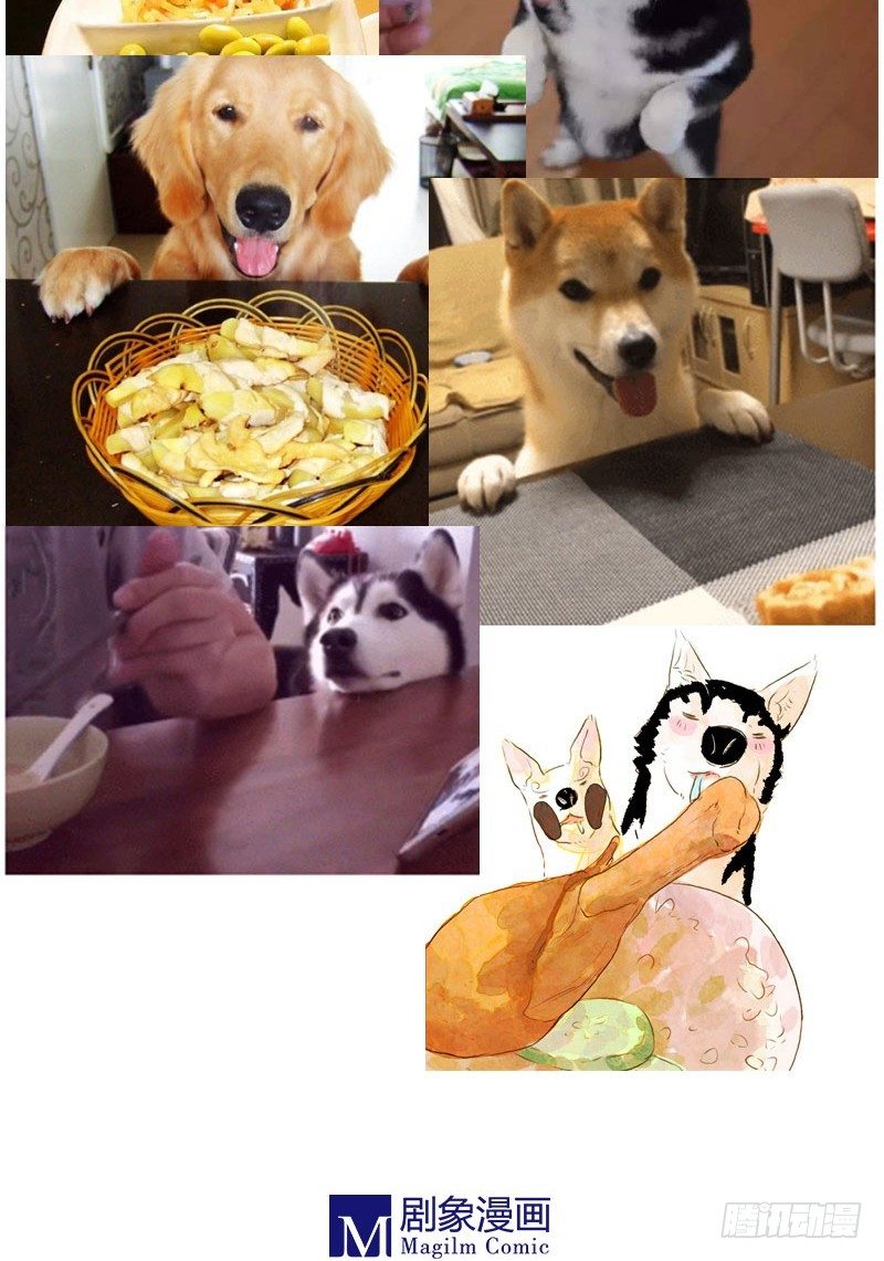 我就静静地看着你-第29话