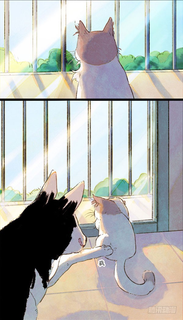 突然的离别-第41话