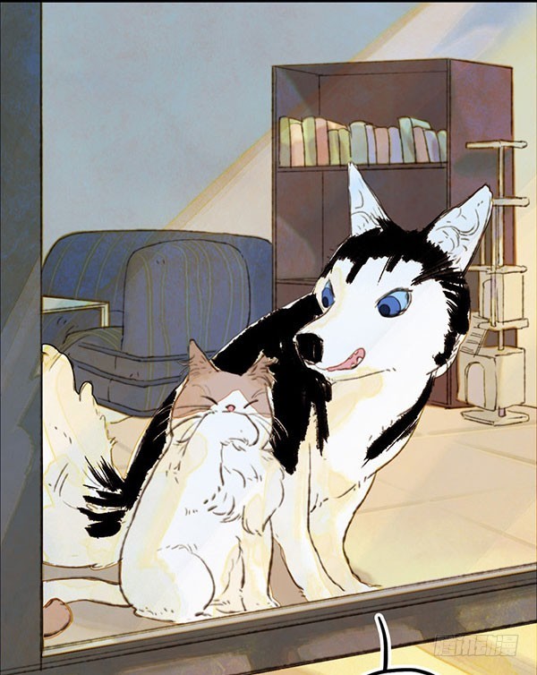 突然的离别-第41话