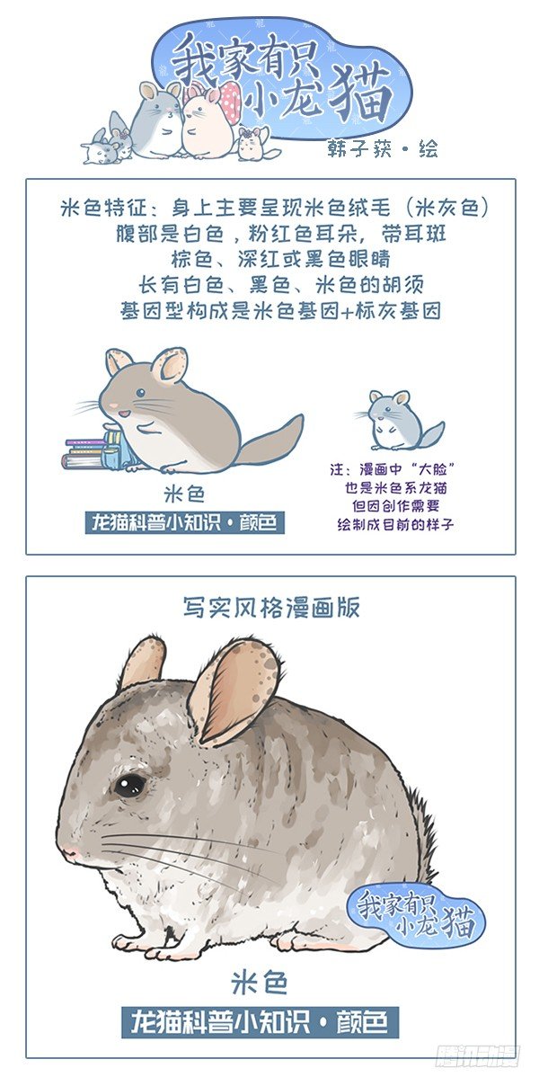 第119个小故事（6）-第137话